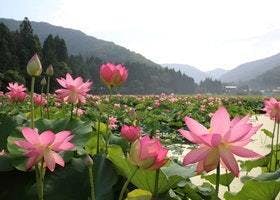 福井県南越前町
