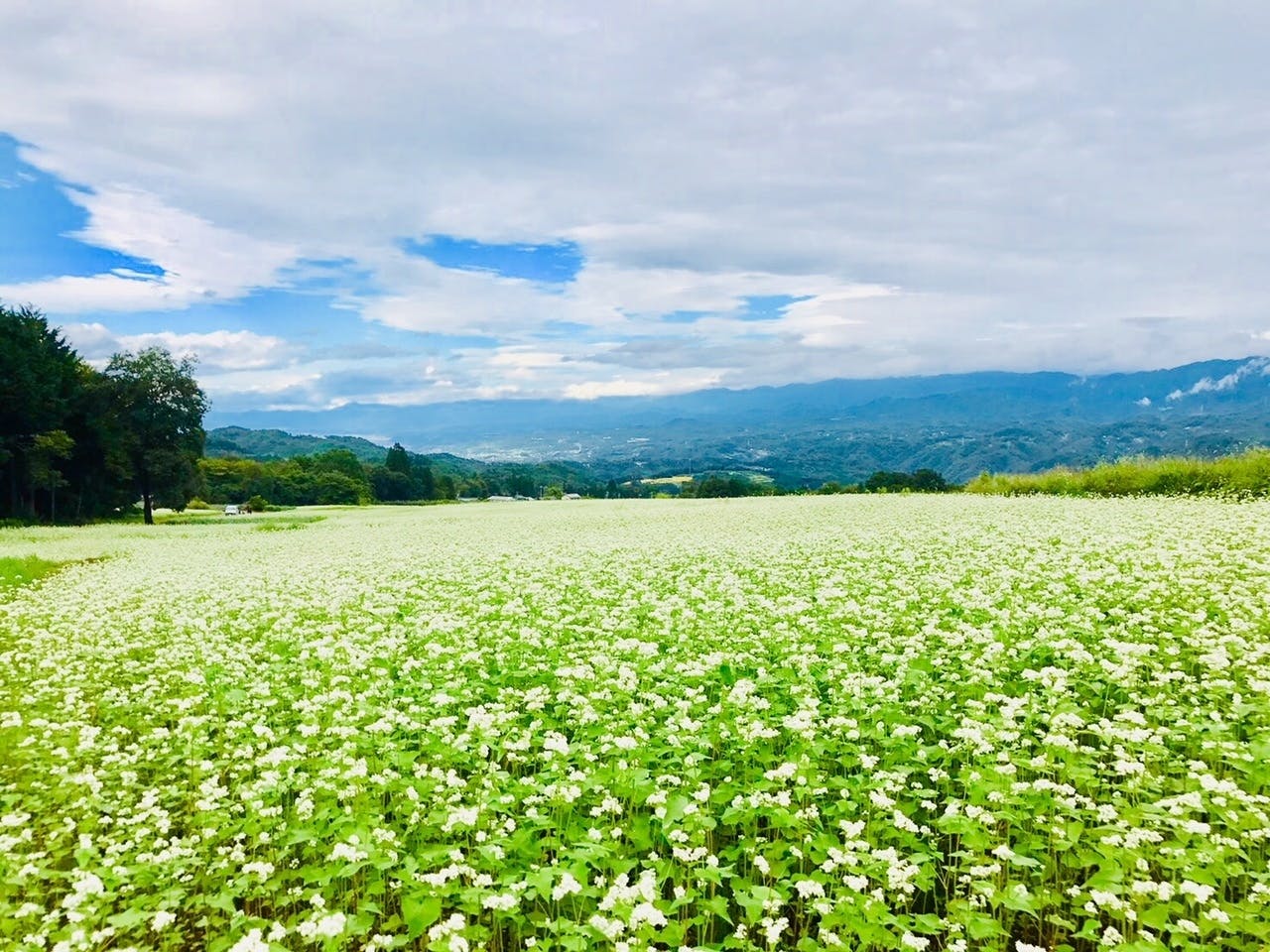 長野県下條村