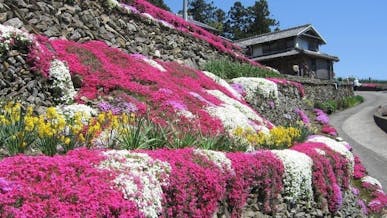 吉野川市の画像