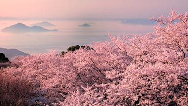 観音寺市の画像