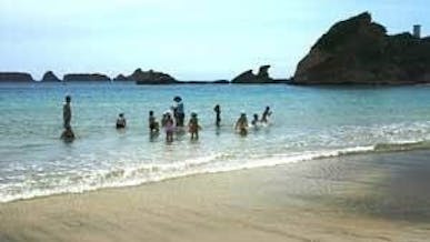 中種子町の画像