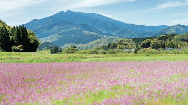 さつま町の画像