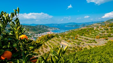 八幡浜市の画像