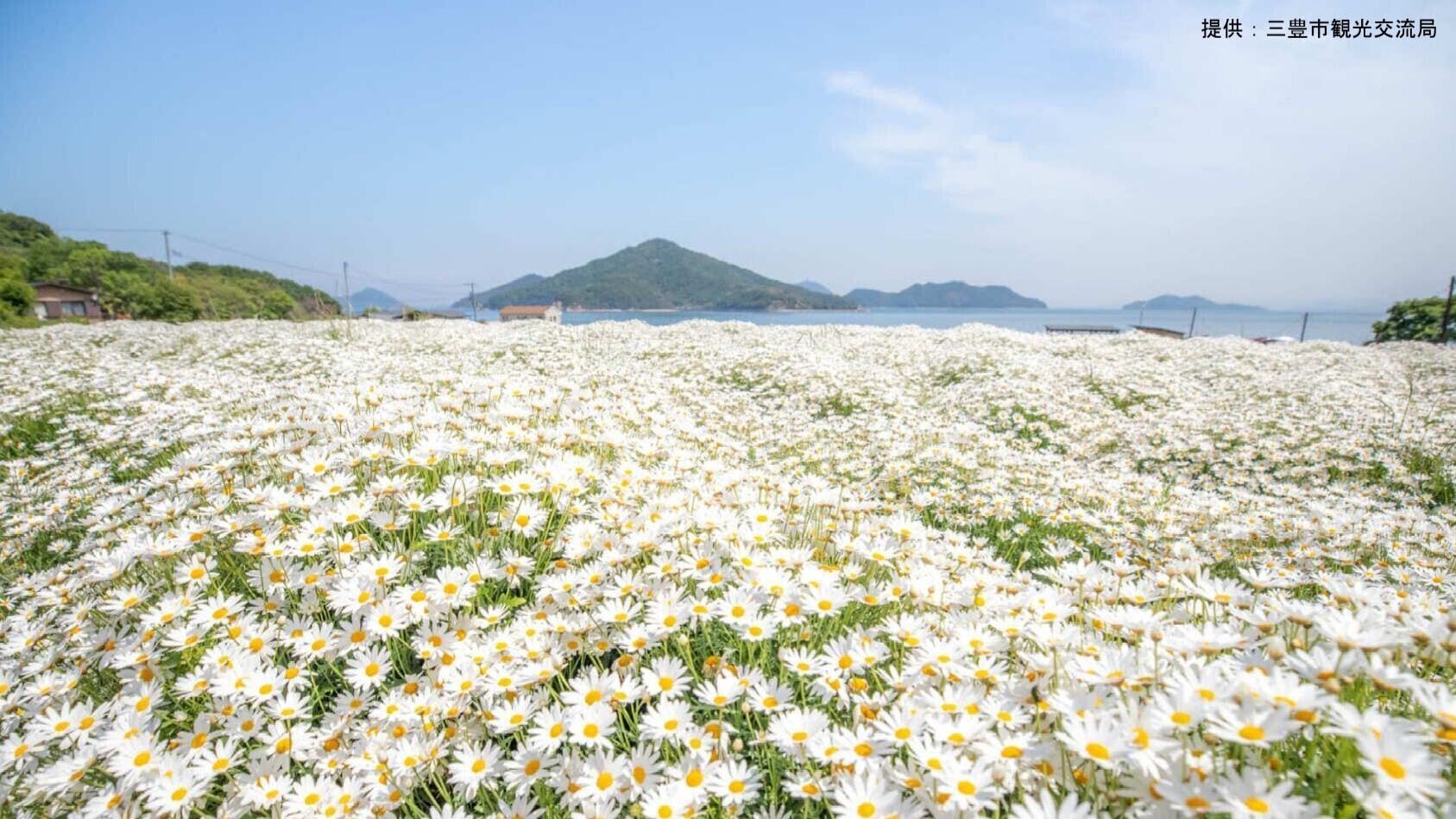 三豊市の画像