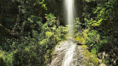 有田川町の画像