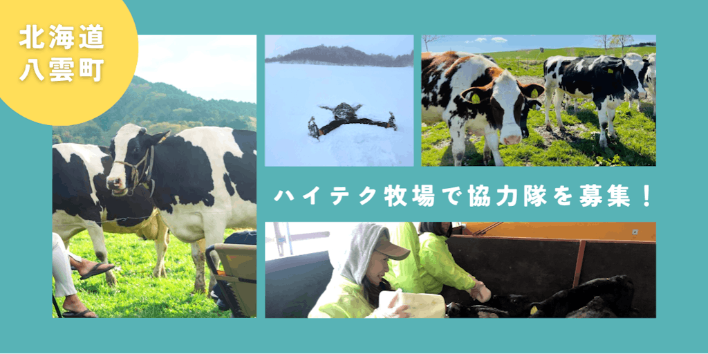 北海道で酪農家になりませんか？最新テクノロジーを導入したハイテク牧場で地域おこし協力隊を募集！