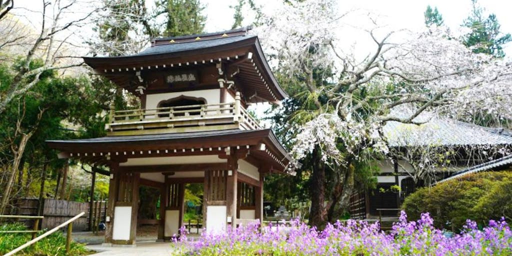 鎌倉の歴史と自然の中で、心と身体を高めたい人を募集しています！