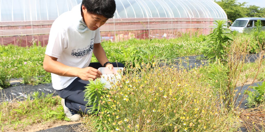 子どもが憧れる農業の未来をつくる。 熱い想いを持つ若手農業者たちとともに、新規就農にチャレンジしたい方募集