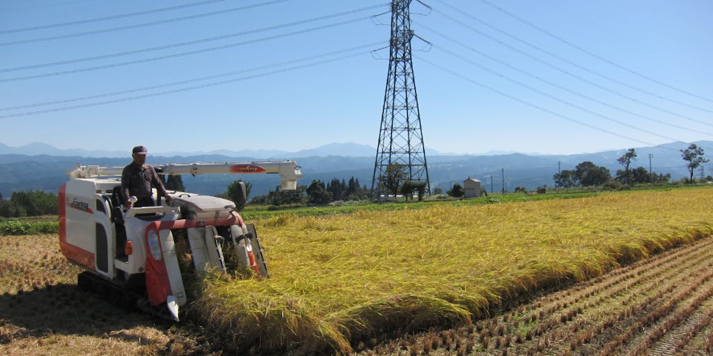 【稲作体験会】新潟・十日町市の高齢化集落で田んぼを守るチカラになる