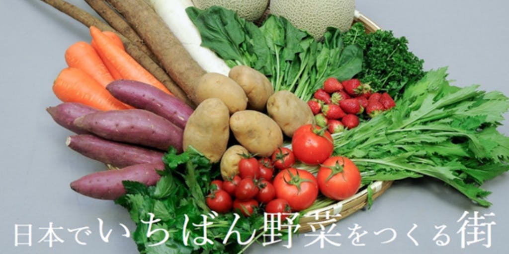 野菜の街をPRしナイト～「日本でいちばん野菜をつくる街」の地域編集者を募集します～