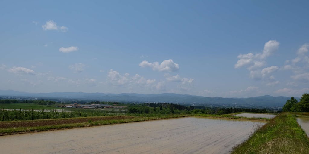 奥羽山脈を臨む田んぼで作る酒米②田植えを取材しました