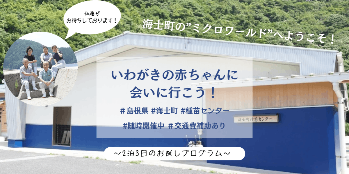 2泊3日体験プログラム】”海士町種苗センター”「いわがきの赤ちゃん」に