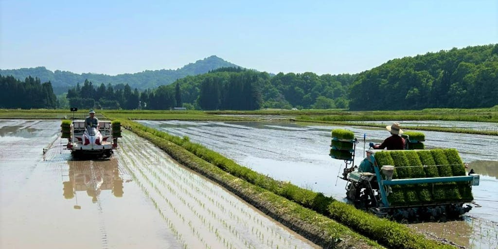 【定住じゃない農業】新潟県阿賀町・八田蟹で農業関係人口のステップアップをデザインする3日間