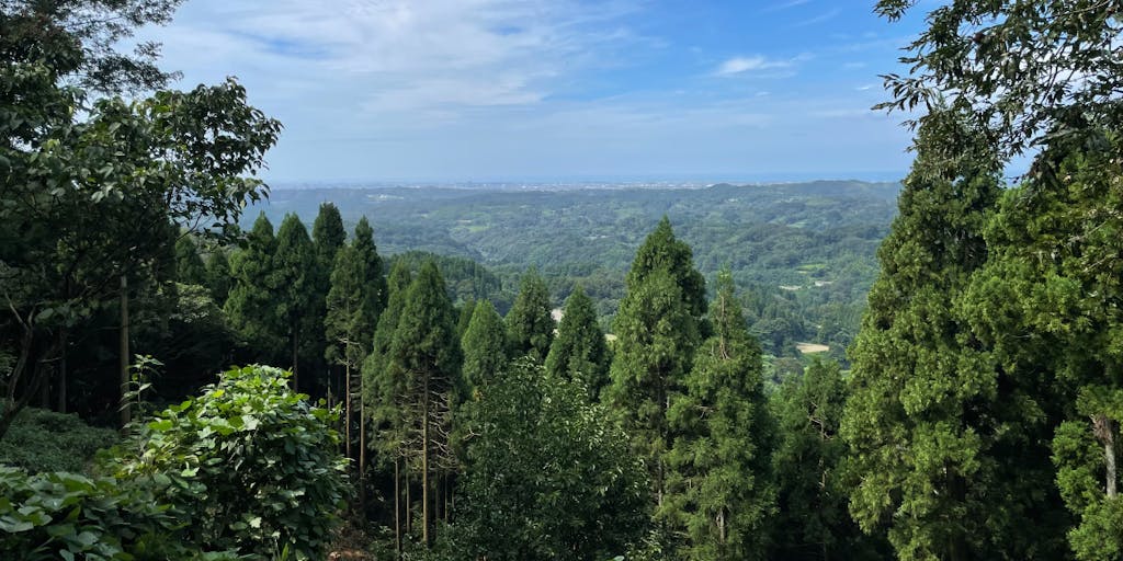 金沢の山で木を植えよう！森づくりの植栽作業体験！
