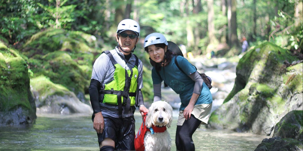 【仲間募集】愛犬も家族も幸せにする、日本一の森のドッグフィールドをつくります！
