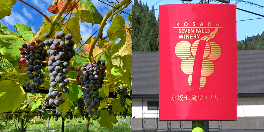 町内産「日本ワイン」にこだわりを持った小坂町で「山ぶどう」交配品種の栽培とワイン醸造・販売に携わってみませんか!