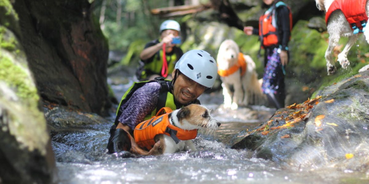 仲間募集】愛犬家族が思いっきり楽しめる日本一のアウトドアフィールド