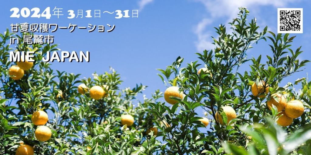 【三重県尾鷲市】真のワーケーション「甘夏収穫ワーケーション」を開催します！！