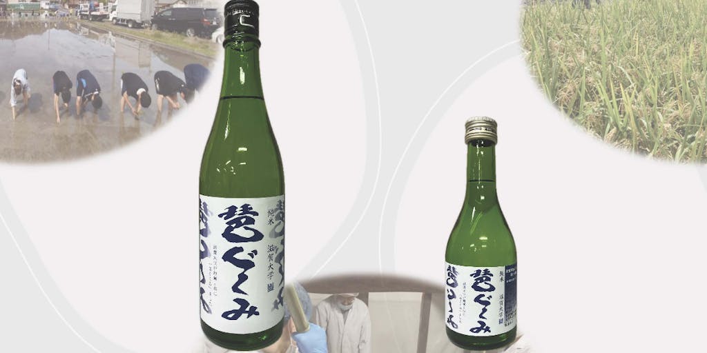 滋賀大学オリジナルブランド日本酒「琶ぐくみ」が販売されます