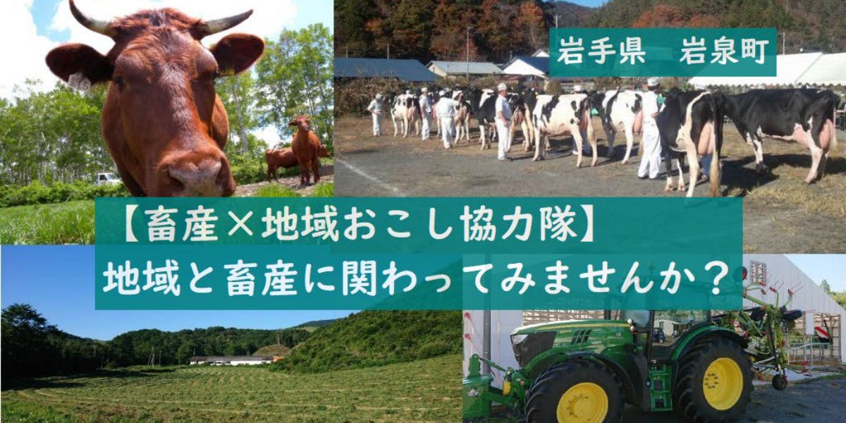 地域おこし協力隊】岩泉ヨーグルトと短角牛の町で、自分の可能性を見つけてみませんか？ | 移住支援と地域情報 SMOUT(スマウト)