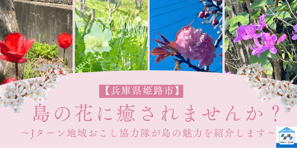 【兵庫県姫路市】島の花に癒されませんか？【Jターン地域おこし協力隊が島の魅力を紹介します】