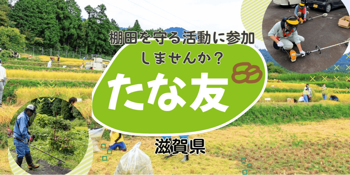 しがの棚田を守ろう！楽しもう！【たな友】 | 移住支援と地域情報 SMOUT(スマウト)