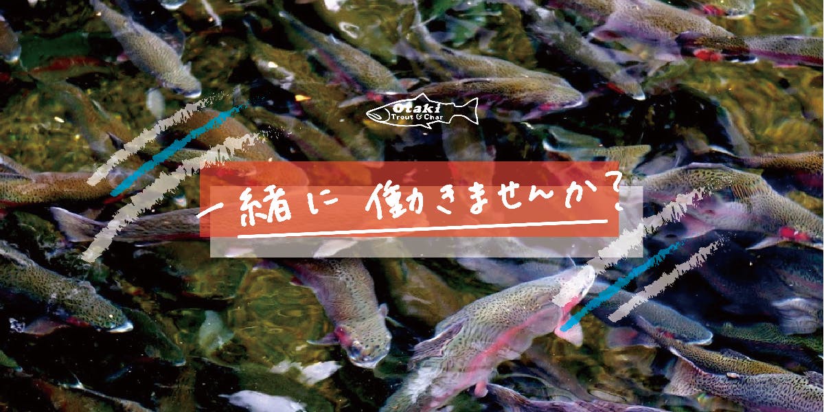 正社員募集 自然の中で暮らし 魚を育てる仕事をしませんか 移住サポートもします 移住スカウトサービス Smout スマウト