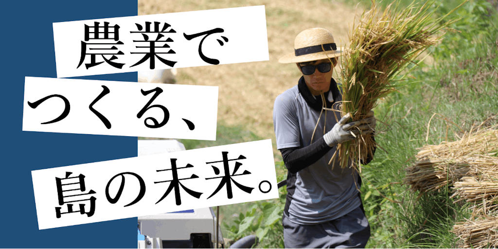 沖縄離島ドットコム