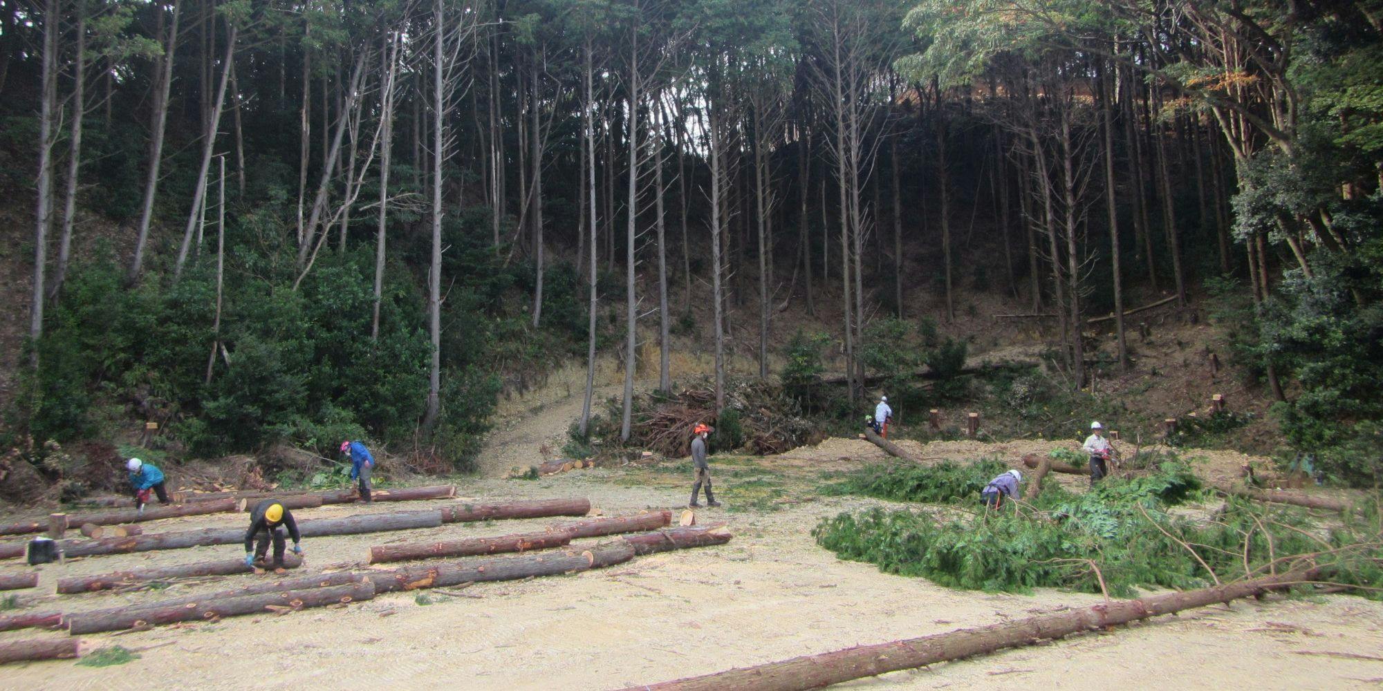 地域おこし協力隊募集！】四国最南端の地で山林の手入れを担う林業者に
