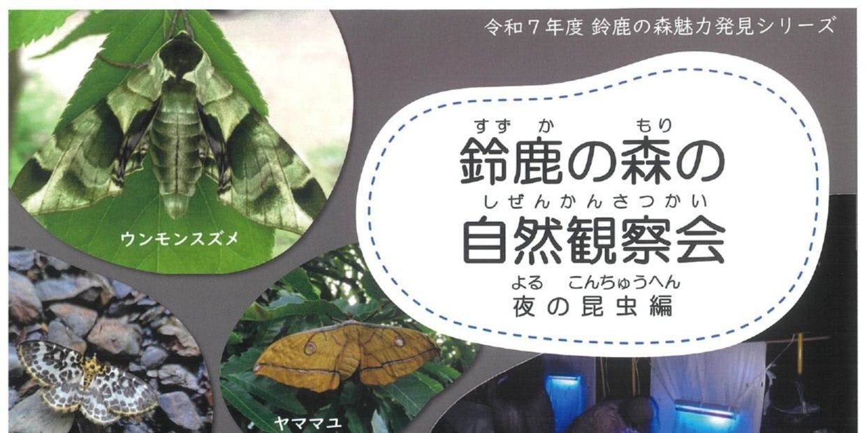 鈴鹿の夏】自然を楽しもう！！「夜の昆虫編」(滋賀県東近江市) | 地域