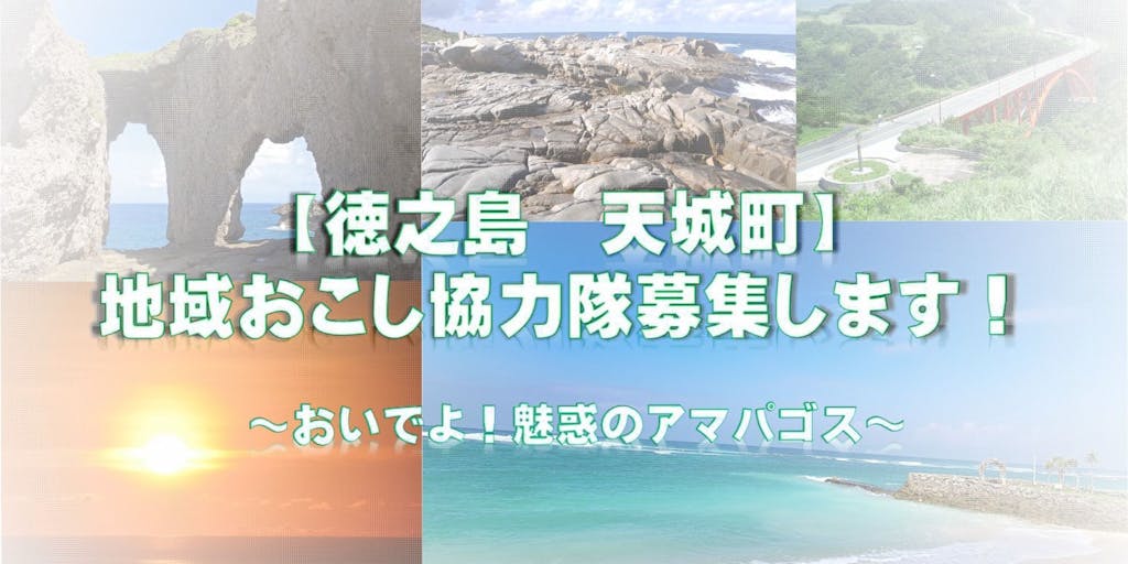 ジャワ島沖、海上がりの瀬戸の髭徳利 ジャワ島沖、海上がりの瀬戸の髭徳利