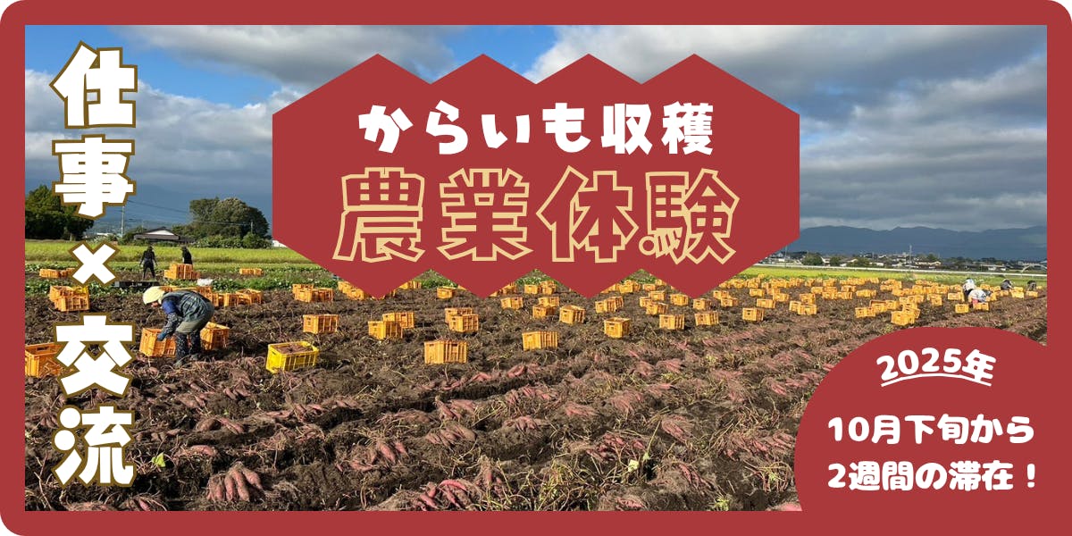 由緒正しき農家の跡取りが（初めて）本気でさつまいもを作ってみる。 由緒正しき農家の跡取りが（初めて）本気でさつまいもを作ってみる