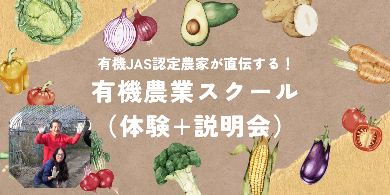 hitoko、夏野菜、奈良県産 hitoko様専用、夏野菜、奈良県産 - メルカリ