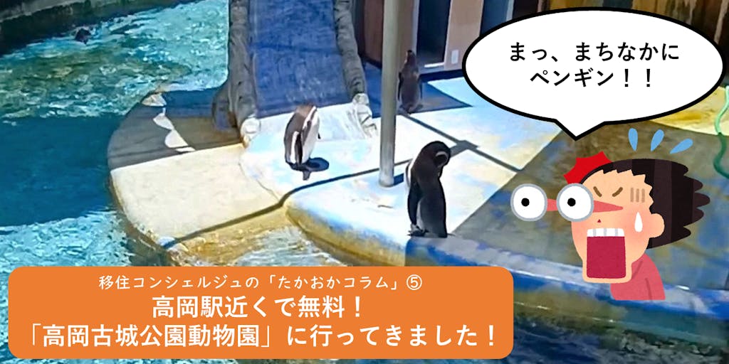 ∞ 移住コンシェルジュの「たかおかコラム」⑤ ∞高岡古城公園