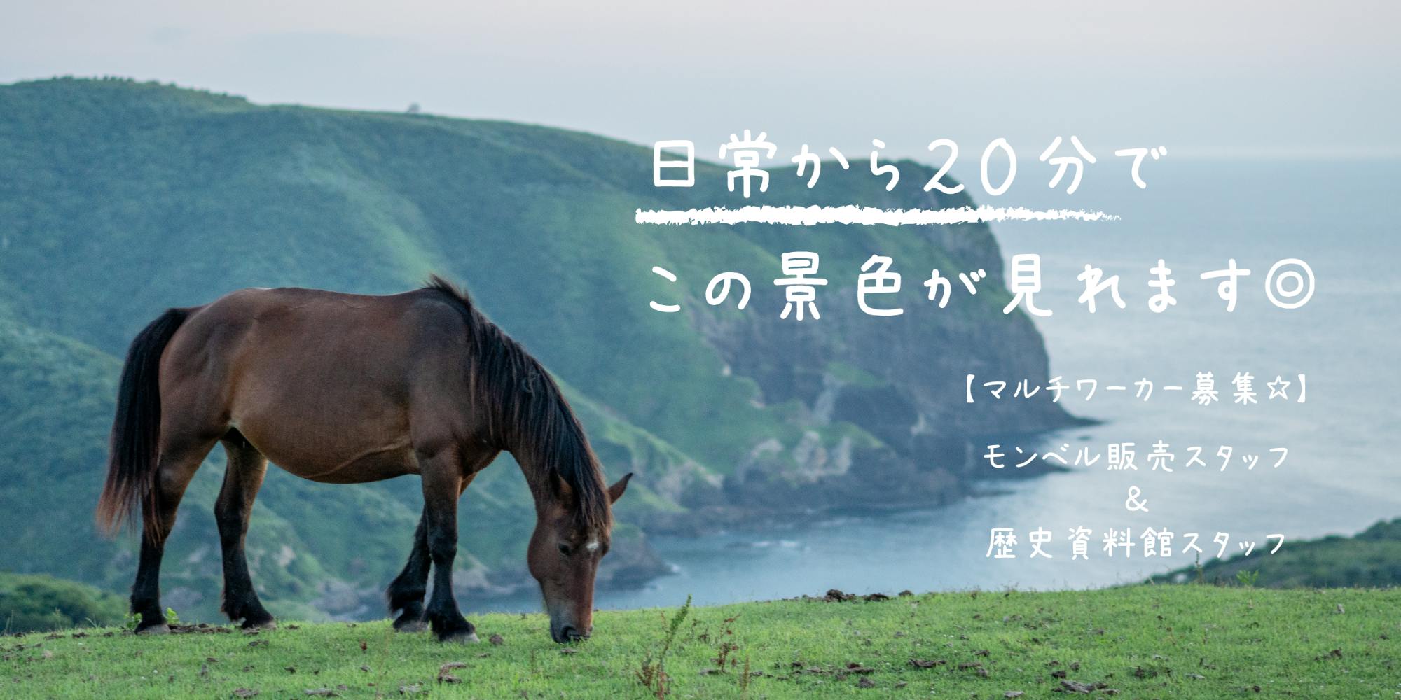 令和8年4月採用】島根の離島でマルチに活躍してくれる人材募集