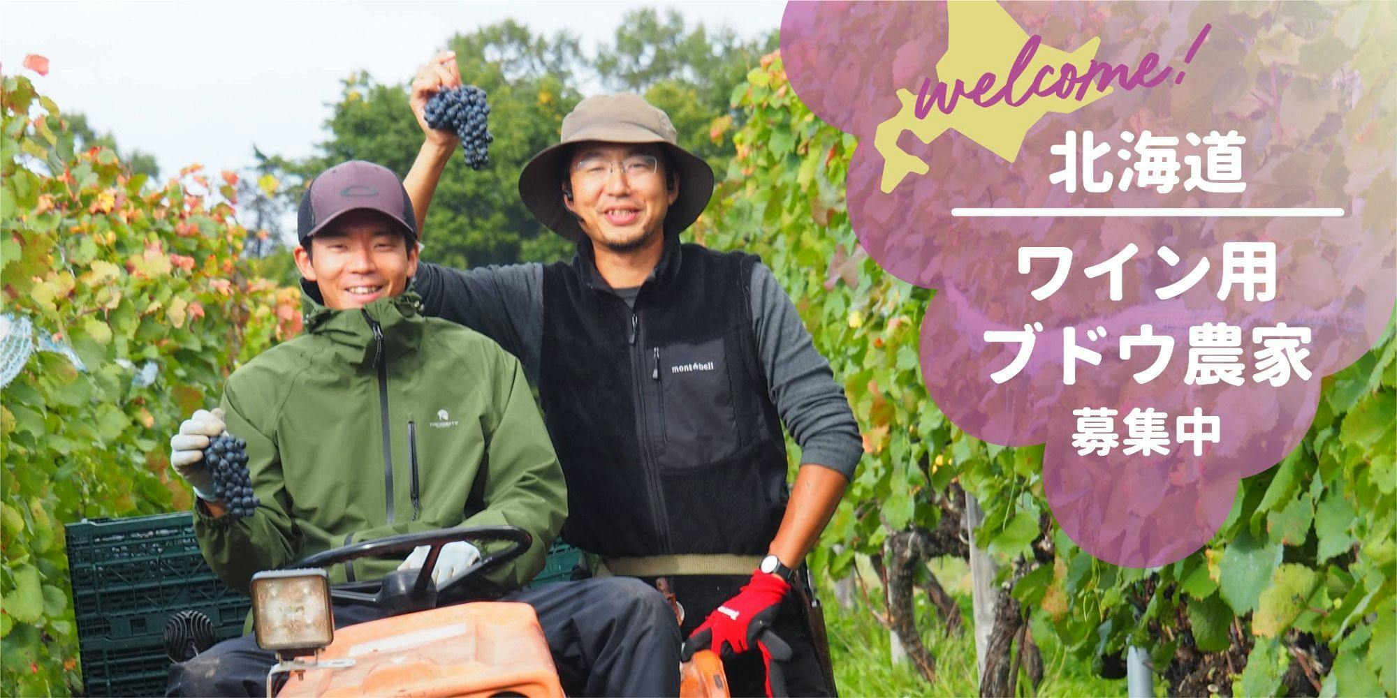 住居あり・副業OK】北海道でワイン用ぶどうを育てませんか。正社員登用