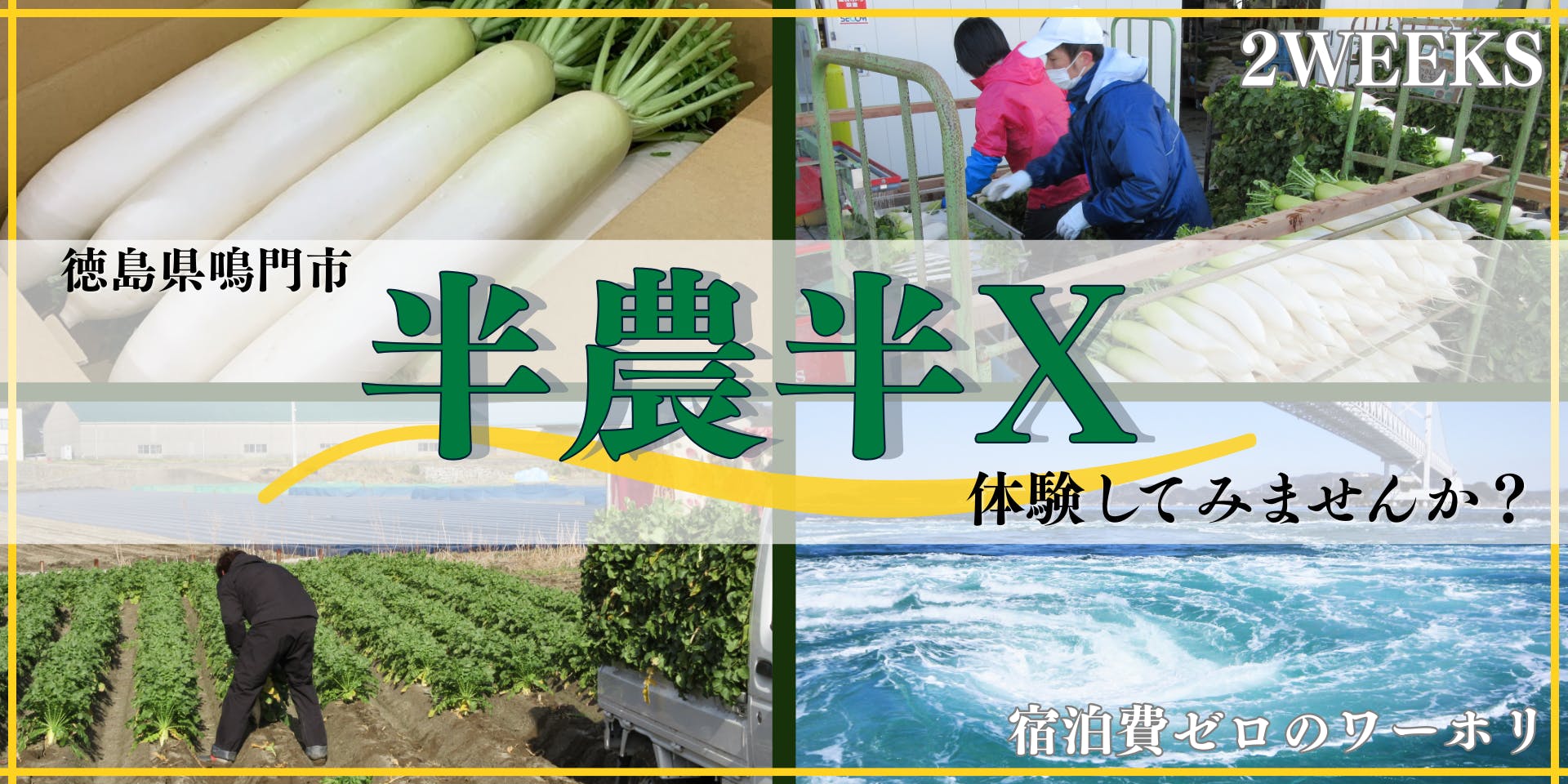 宿泊費ゼロで2週間のお試し暮らし！特産品「青首だいこん」の農業