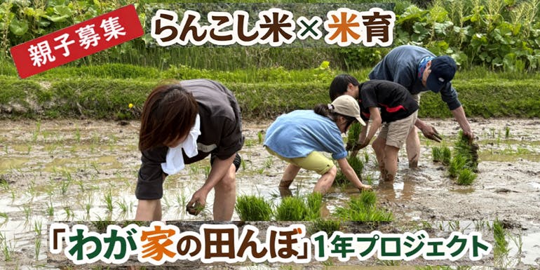 親子募集】 らんこし米 × 米育 「わが家の田んぼ」1年プロジェクト