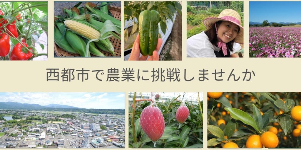 【新規就農支援】宮崎県西都市（さいとし）で農業始めませんか？