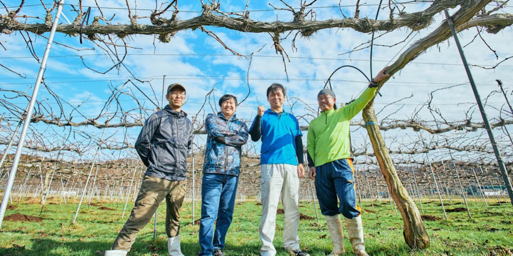 1月20日締切:人と環境にやさしい農法の「豊岡ぶどう」生産者としてブランドを守り、盛り上げてくれる仲間を募集!