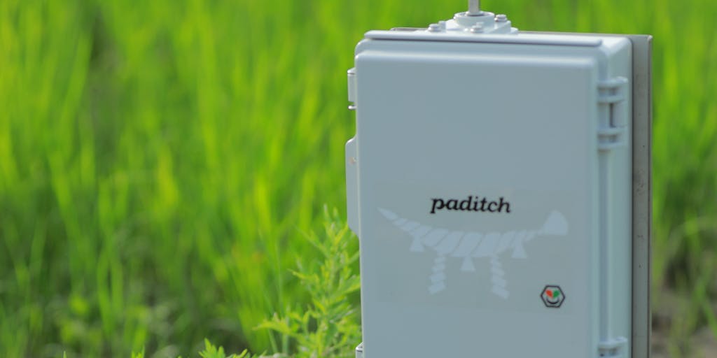 【インフラエンジニア】グローカルに働くスマート水田サービス paditch を一緒に開発してくれる人募集！