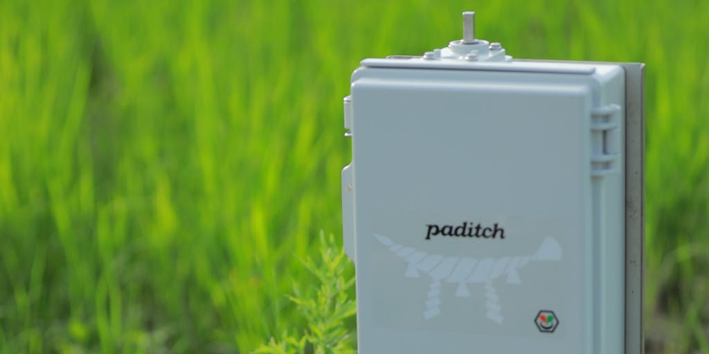 【マーケター】グローカルに働くスマート水田サービス paditch を一緒に開発してくれる人募集！