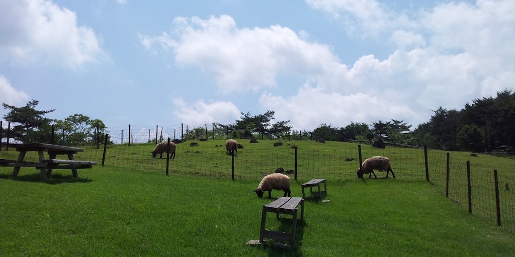【地域おこし協力隊人材募集】「めえめえ牧場」を一緒に盛り上げてくれる隊員を募集します!【2021年2月26日(金)まで】(奈良県山添村)
