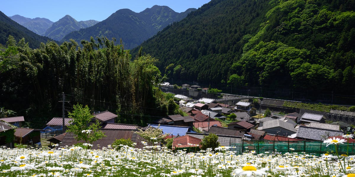 ≪移住で気がかりな仕事≫マルチワーカーで地域の新しい働き方にチャレンジしてみませんか？ | 移住支援と地域情報 SMOUT(スマウト)