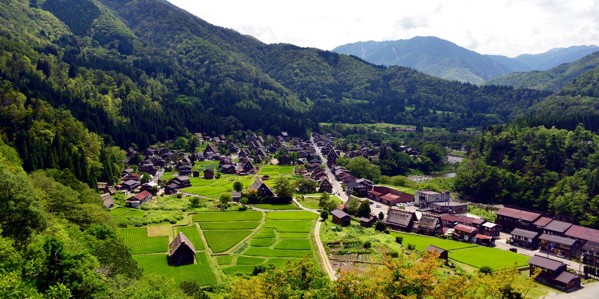 世界遺産 白川郷の村で田舎暮らしを楽しみながら 豆富の製造販売 事業プロデュースをしてみませんか 移住スカウトサービス