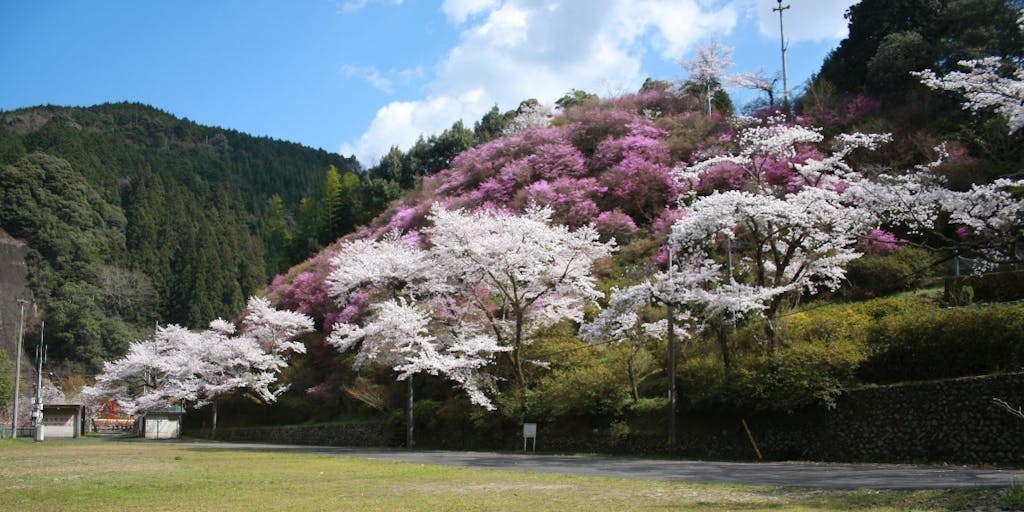 【地域おこし協力隊】観光資源のPRや遊休施設を有効活用するアイディアで、地域を一緒に盛り上げませんか?