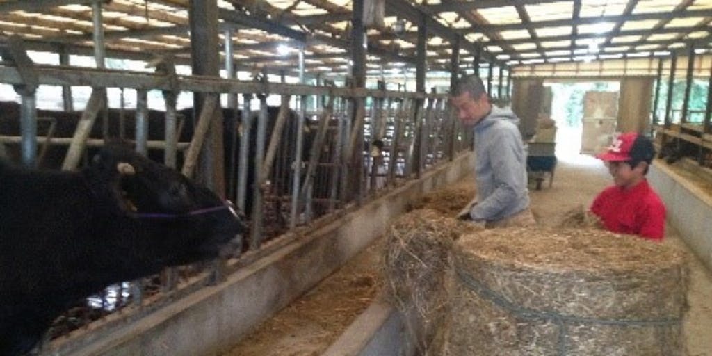 鹿屋市で新たに畜産業へ就農をお考えの方に対しての各種助成制度の紹介について