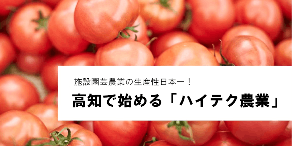 \施設園芸農業の生産性日本一!/高知県で先端技術を使ったハイテク農業をしませんか?