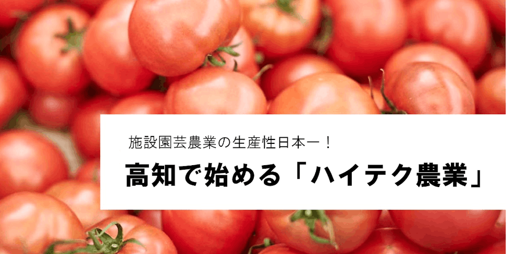 ＼施設園芸農業の生産性日本一！／高知県で先端技術を使ったハイテク農業をしませんか？