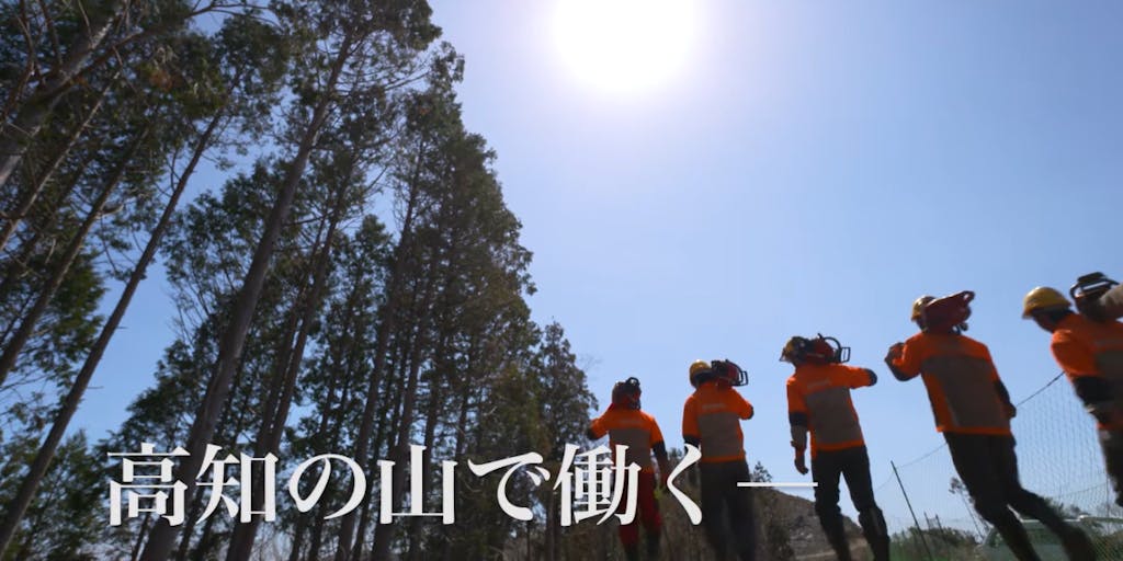 \森林率日本一の高知県で林業で稼ぐ!/森林と共に生きることを選びませんか。